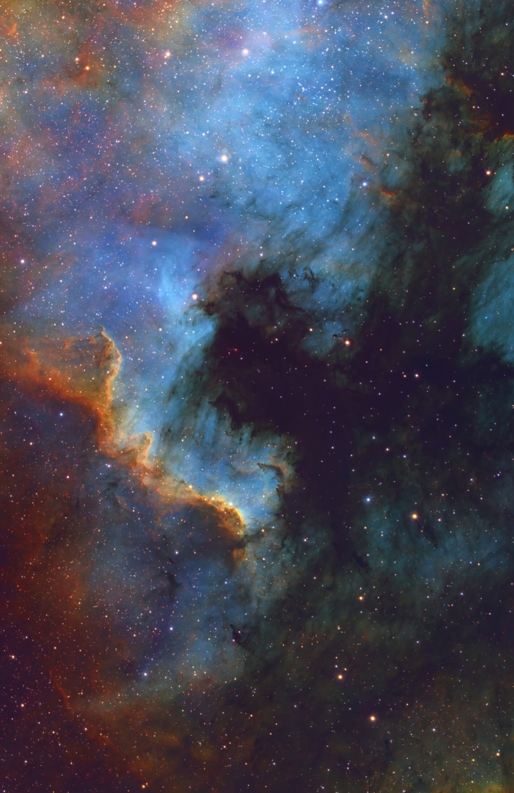 NGC 7000 (North America Nebula)