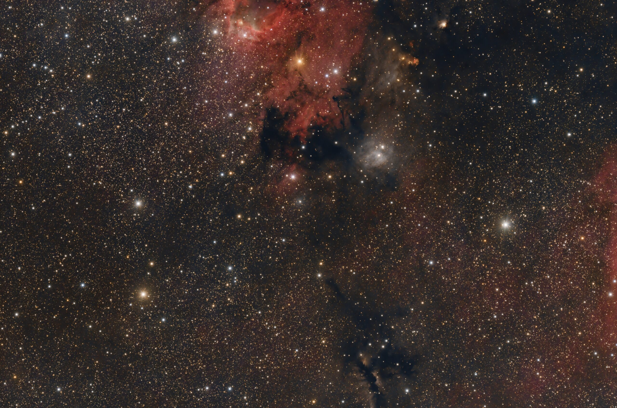 Region West of Sh2-155 (Cave Nebula)