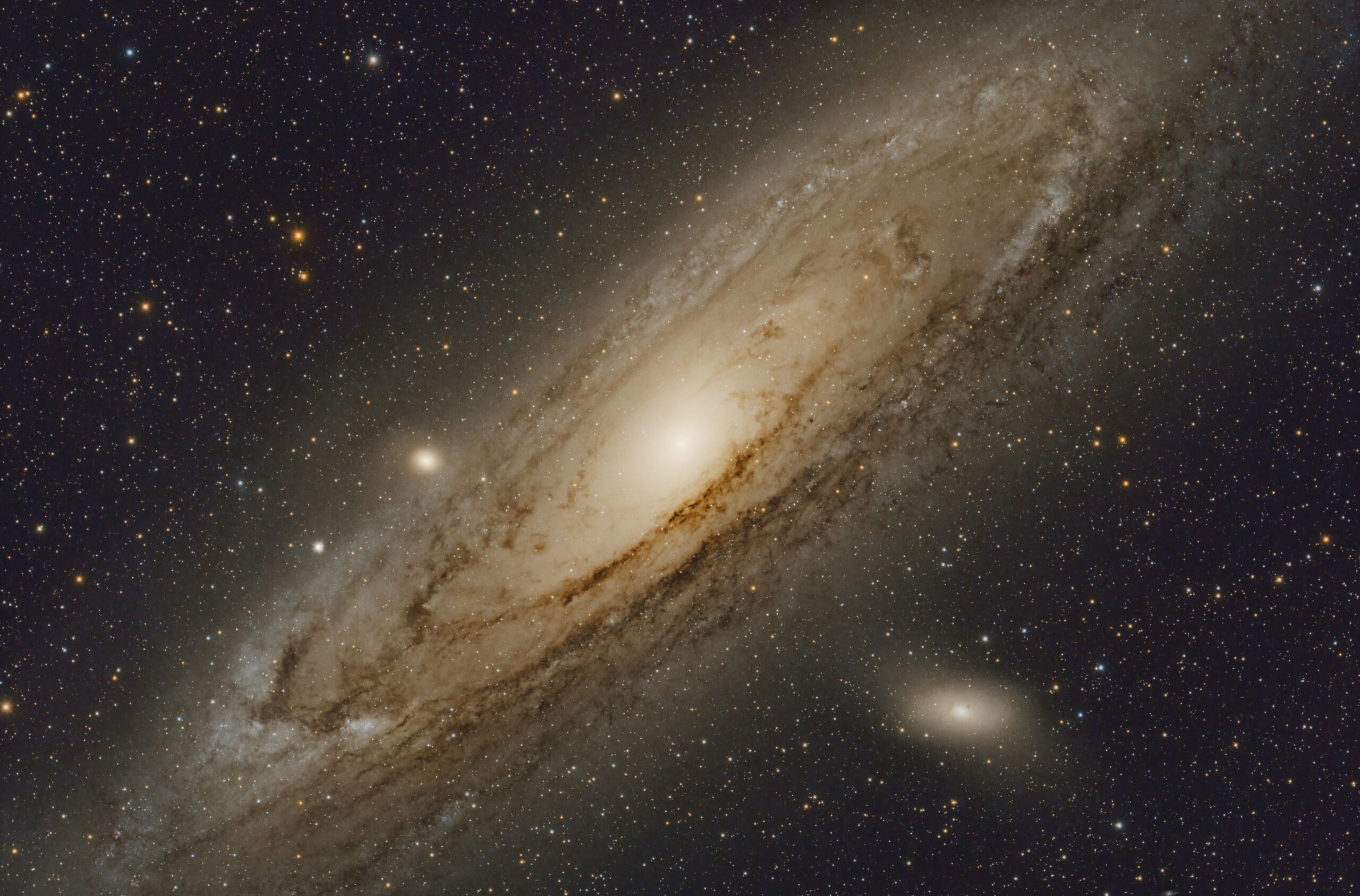 M31