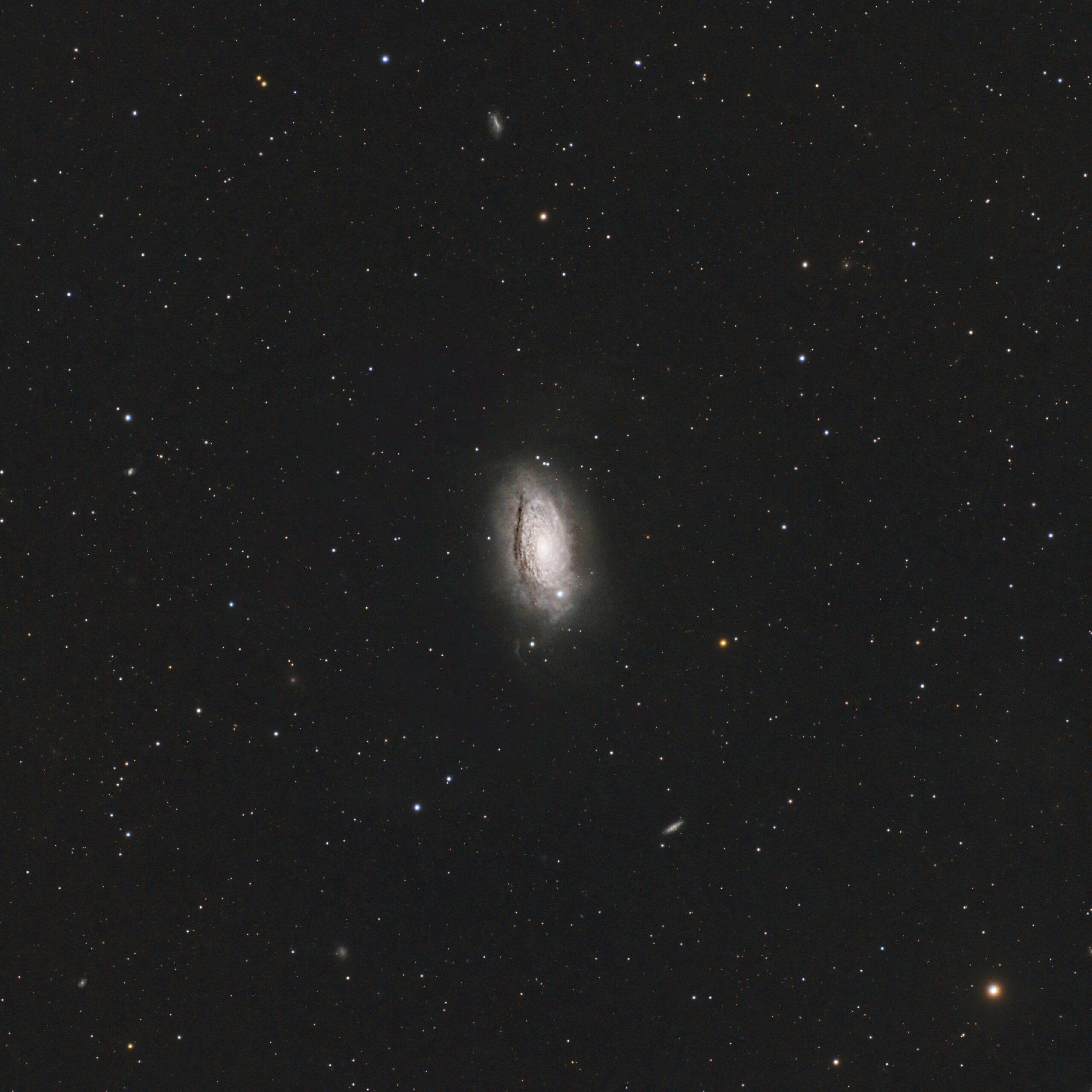 M 63 (Sunflower Galaxy)
