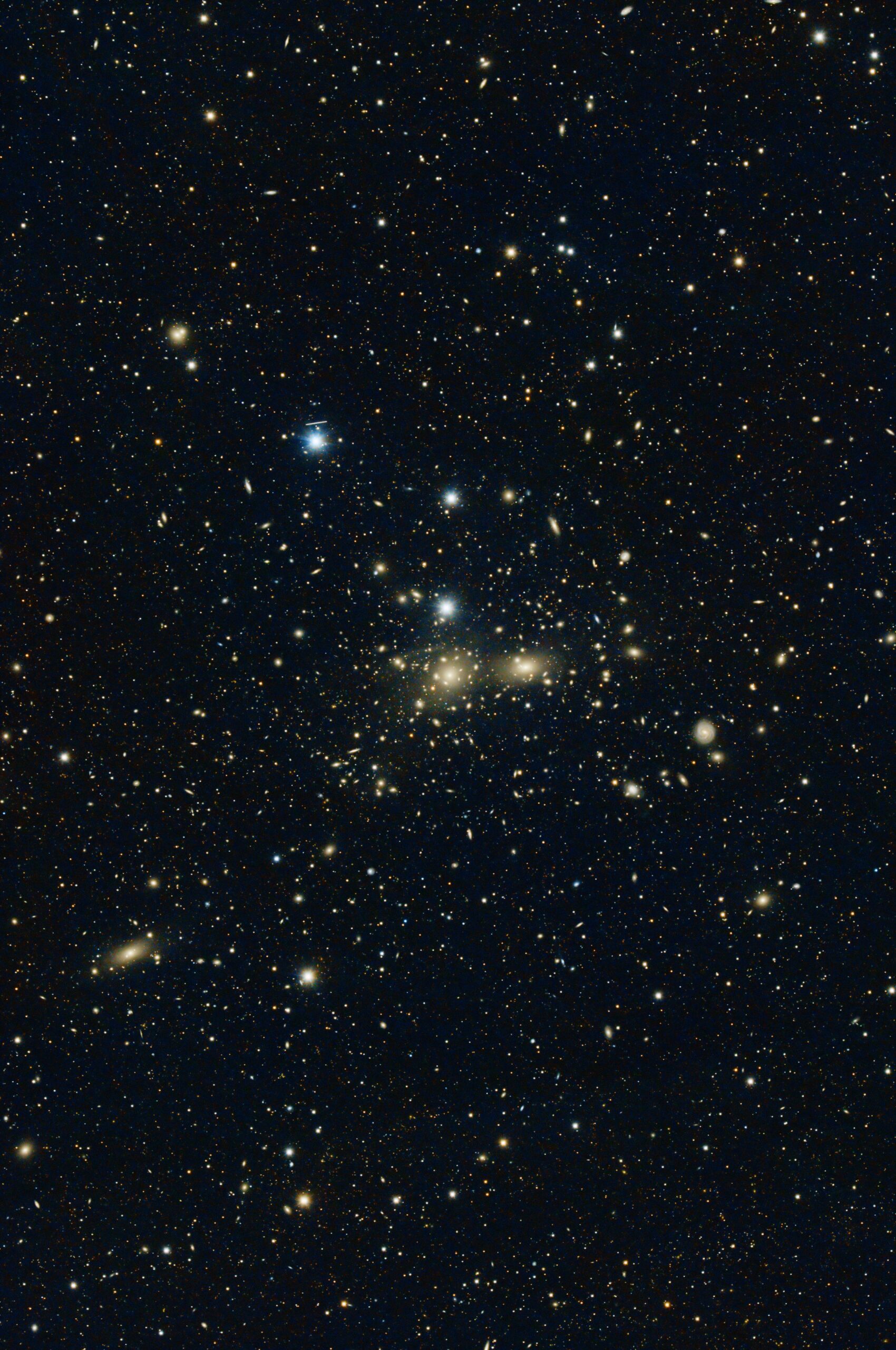 Coma Galaxy Cluster (Abell 1656)